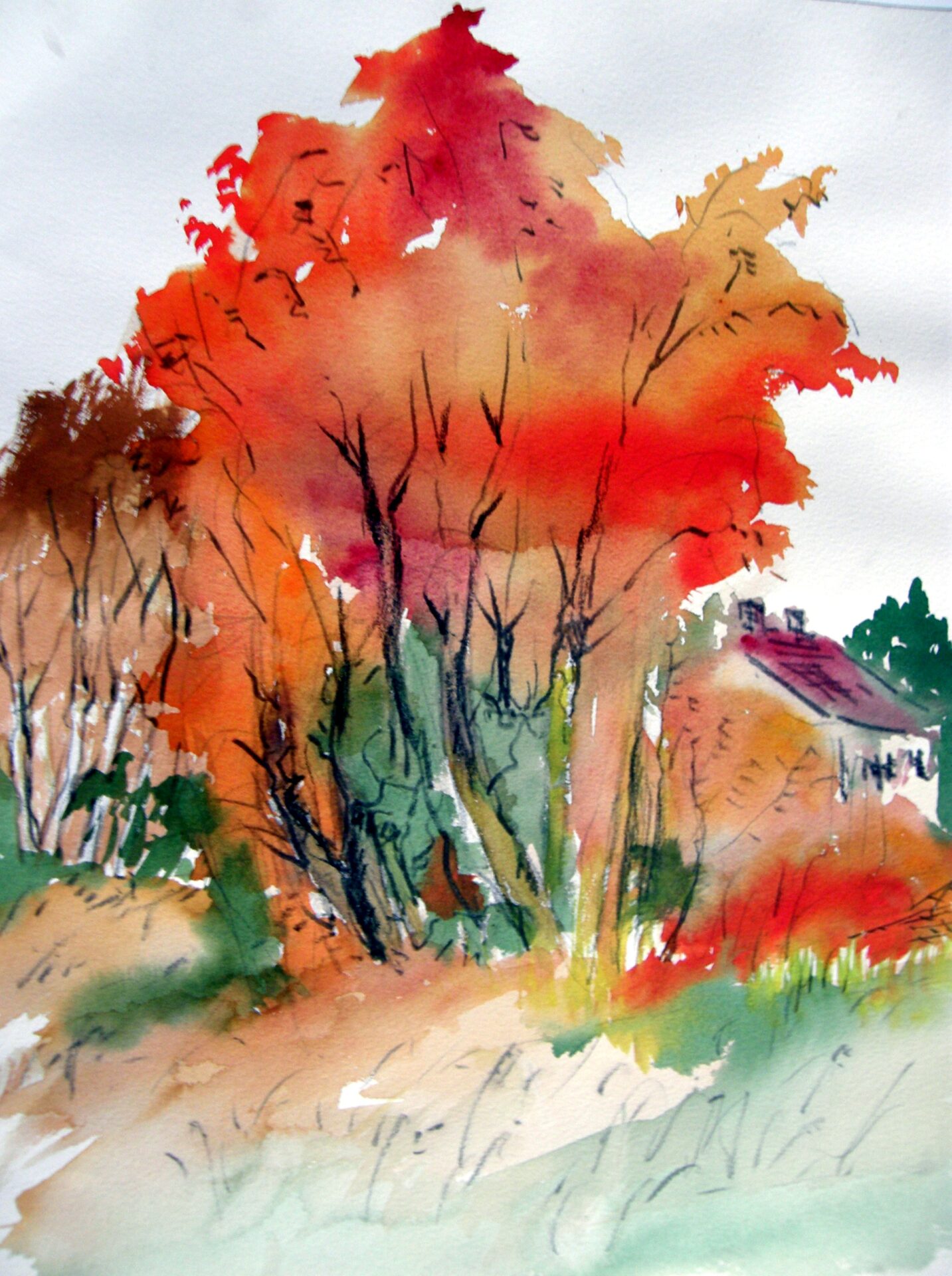 Herbst A3 2011 Aquarell